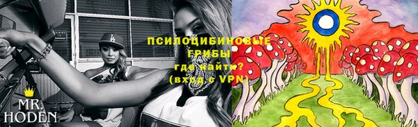 2c-b Балахна